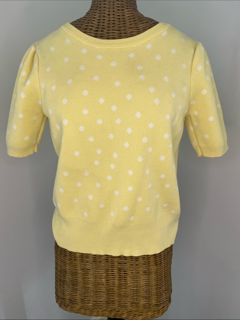 Adrianna Papell Yellow and White Polka Dot Short Sleeve Knit Top